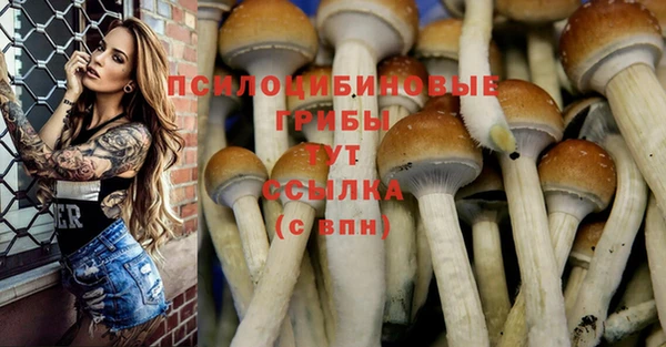 крисы Абинск