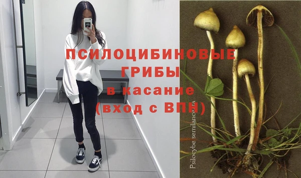 спиды Абдулино