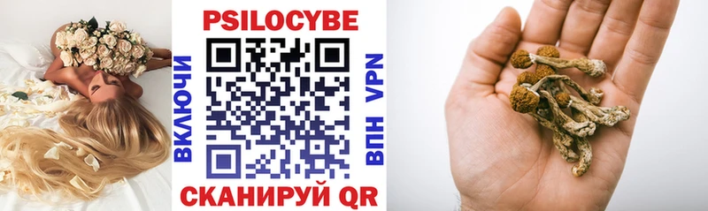 shop телеграм  Лысково  Псилоцибиновые грибы мицелий  купить наркотик 